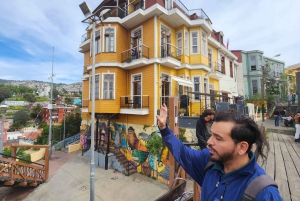 Private: Viña del Mar and Valparaiso Day Tour