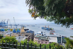 Private: Viña del Mar and Valparaiso Day Tour