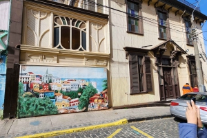 Private: Viña del Mar and Valparaiso Day Tour