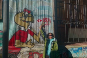 Private: Viña del Mar and Valparaiso Day Tour