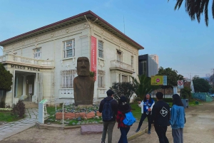 Private: Viña del Mar and Valparaiso Day Tour