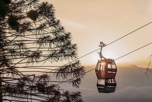 Tour privato a piedi di Santiago come un locale