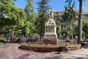 Tour privato a piedi di Santiago come un locale