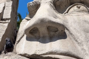 Tour privato a piedi di Santiago come un locale