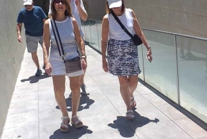 Tour privato a piedi di Santiago come un locale