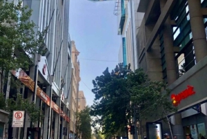 Tour privato a piedi di Santiago come un locale