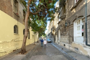 Tour privato a piedi di Santiago come un locale