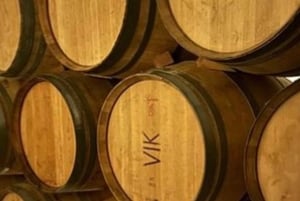 Private Weintour Ganzheitliches Erlebnis Viña Vik