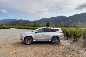 Private Weintour Ganzheitliches Erlebnis Viña Vik