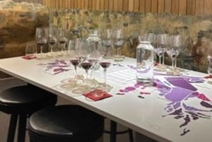 Private Weintour Ganzheitliches Erlebnis Viña Vik