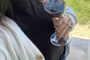 Private Weintour Ganzheitliches Erlebnis Viña Vik