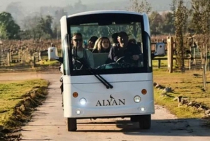 Tour particular Alyan Sunset & Dine