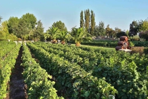 Tour particular Alyan Sunset & Dine