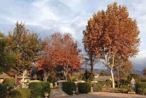 Tour particular Alyan Sunset & Dine