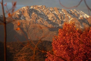 Tour particular Alyan Sunset & Dine