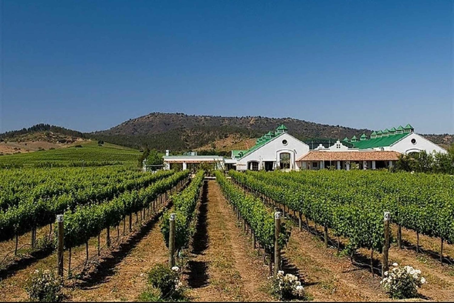 Private Wine Tour Casablanca Valley