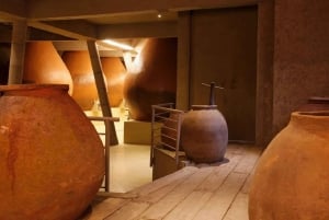 Private Wine Tour Casablanca Valley