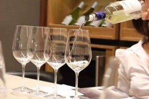 Private Wine Tour Casablanca Valley