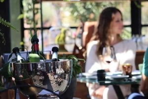 Private Wine Tour Casablanca Valley