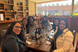 Private Wine Tour Casablanca Valley