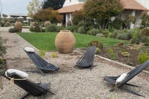 Private Wine Tour Casablanca Valley