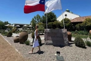 Private Wine Tour Casablanca Valley
