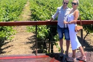 Private Wine Tour Casablanca Valley