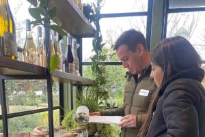 Private Wine Tour Casablanca Valley