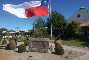 Private Wine Tour Casablanca Valley