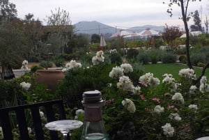 Private Wine Tour Casablanca Valley