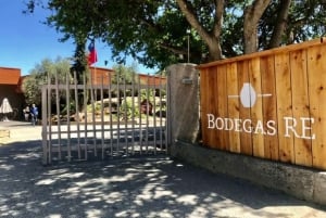 Private Wine Tour Casablanca Valley