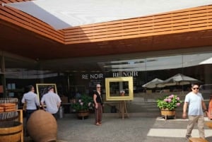 Private Wine Tour Casablanca Valley