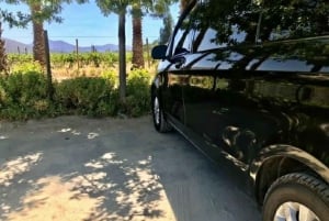 Private Wine Tour Casablanca Valley