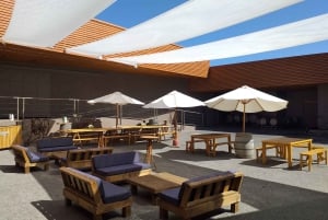 Private Wine Tour Casablanca Valley