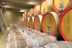 Private Wine Tour Casablanca Valley