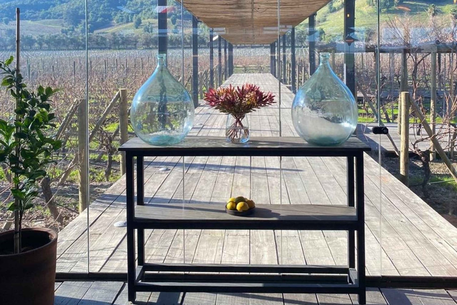 Private Wine Tour Colchagua Valley