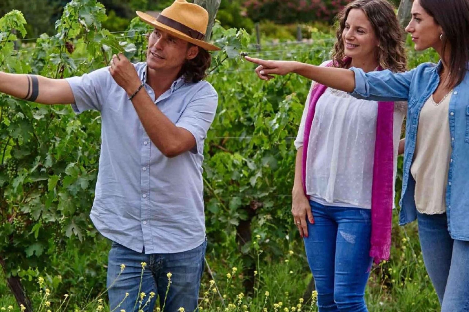 Private Wine Tour Colchagua Valley