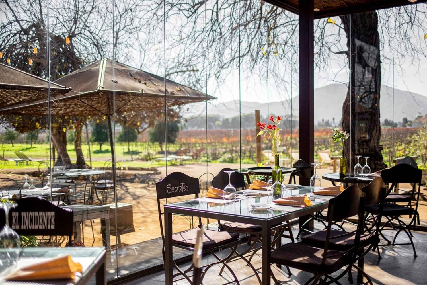 Private Wine Tour Colchagua Valley