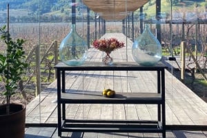 Private Wine Tour Colchagua Valley