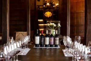 Private Wine Tour Colchagua Valley