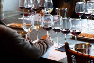 Private Wine Tour Colchagua Valley