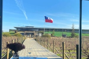 Private Wine Tour Colchagua Valley