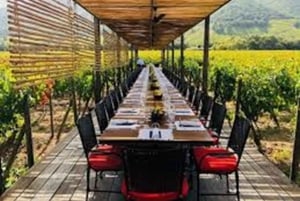 Private Wine Tour Colchagua Valley