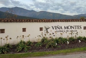 Private Wine Tour Colchagua Valley