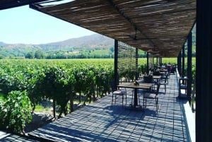 Private Wine Tour Colchagua Valley