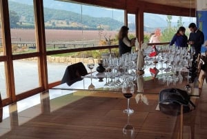 Private Wine Tour Colchagua Valley