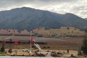 Private Wine Tour Colchagua Valley