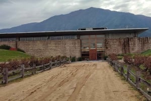 Private Wine Tour Colchagua Valley