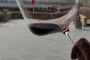 Private Wine Tour Colchagua Valley