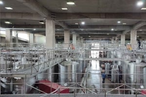 Private Wine Tour Colchagua Valley